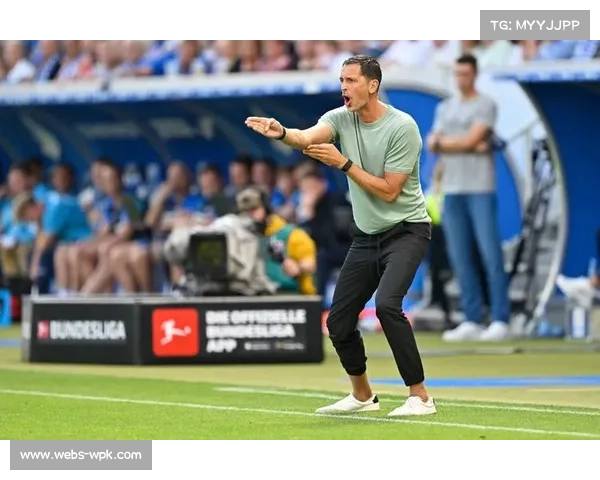 记者爆料巴萨锁定霍芬海姆锋线新星阿斯拉尼寻求中锋补强 记者爆料巴萨锁定霍芬海姆锋线新星阿斯拉尼寻求中锋补强